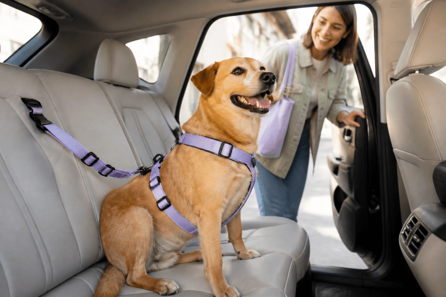 Lifestyle photography for Pet Taxi